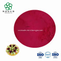 /msite/products/detail/productid/62904400/id/1511203.html